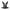 Chest Strap - Insta360